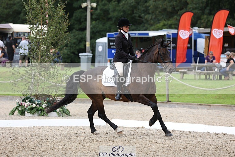 230812-122419-04006 - Cls 5 Novice Bronze 11.15 to 12.50 break