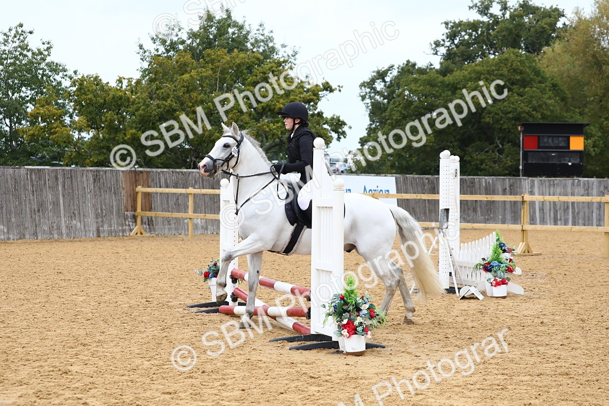 SBM_60101 - J63 - Junior Pony 50cm Championship