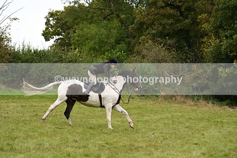 WJ7_4194 - Camera 1 Line 2