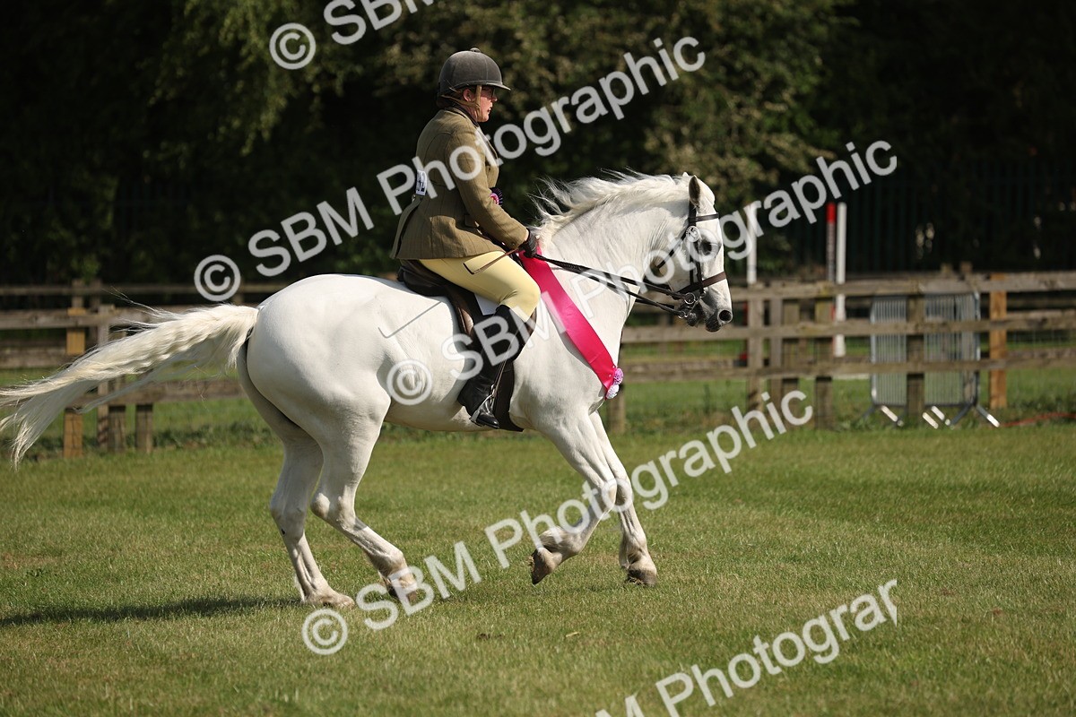 SBM_10276 - Class 33-38 - SSADL RIHS Qualifiers
