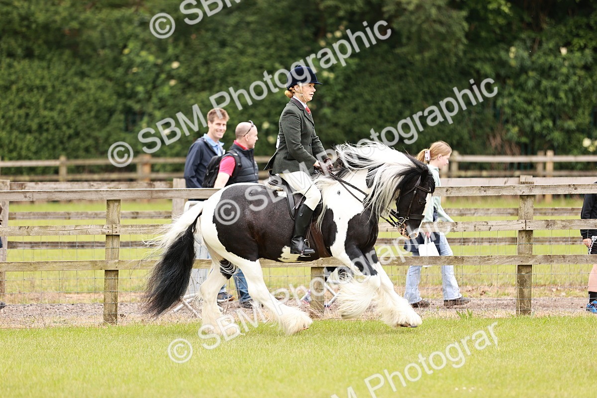 SBM_06178 - Class 39-41 TGCA In Hand and Ridden