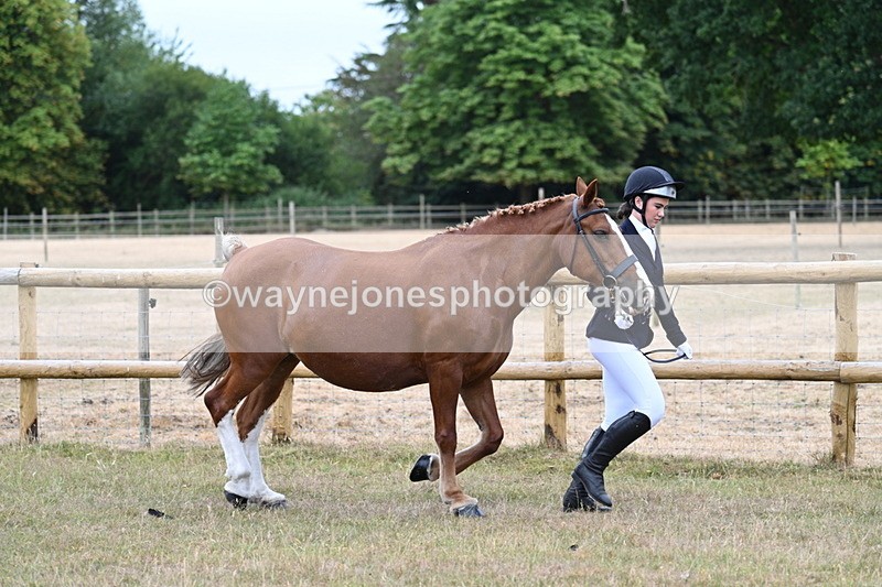 WJ7_8771 - Class 4a Prettiest Mare 14.2hh and over