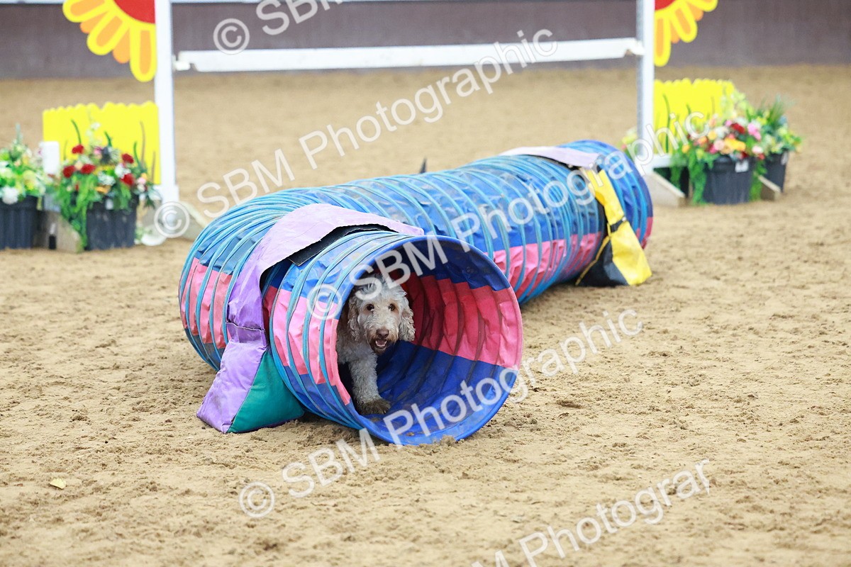 SBM_001591 - Class 3 - Horse & Hound (60cm)
