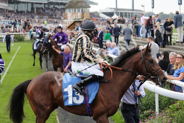 yr09102021r1-19 - Race 1 1.30pm Watch Racing Free Online At Coral Nursery Handicap