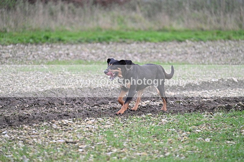 WJ7_0251 - Camera 1 & Last fence