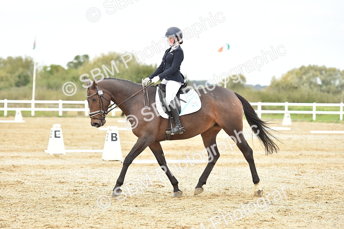 SBM_002480 - Novice 1