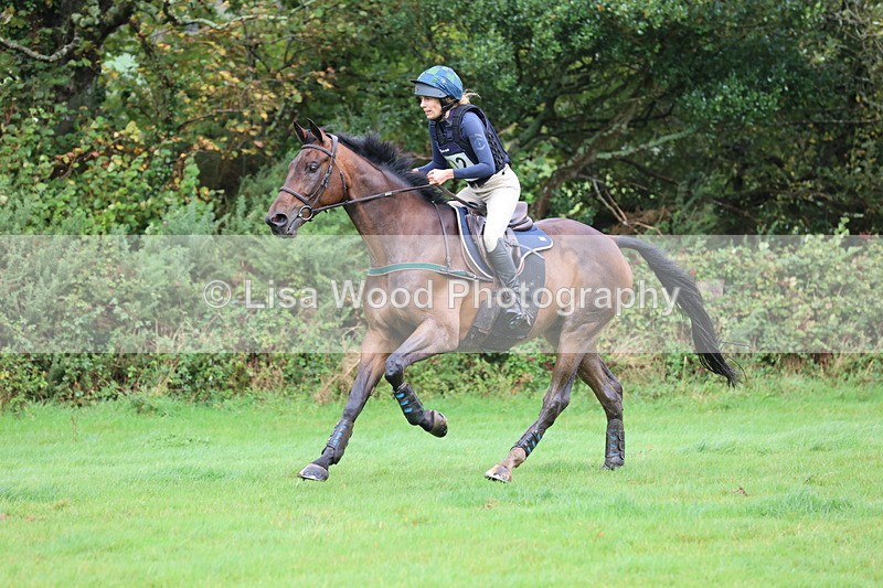 JPP_5484 - Class 5: 90cm Crossed Logs