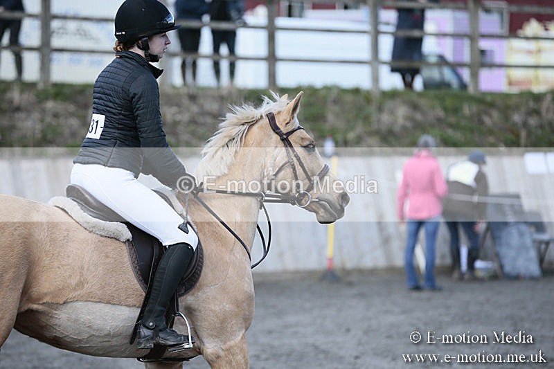 BVRC SJ 170319 255 - Bourne Valley Riding Club Showjumping 17/03/19