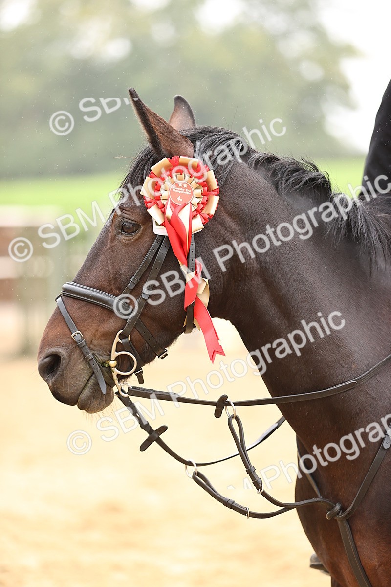 SBM_70077 - Supreme Championship 80cm 85cm