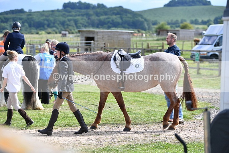 WJ5_7815 - Time 16:40 to 16:55