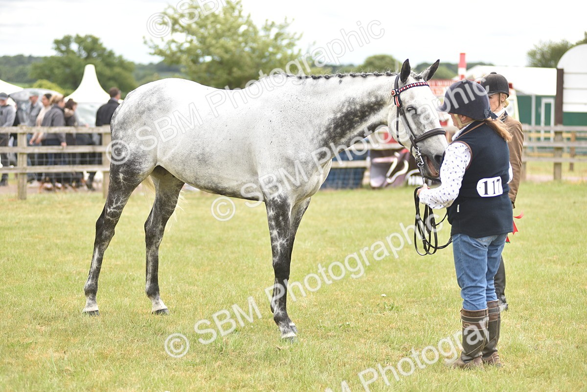 SBM_14290 - Class 113-114 - Retraining of Racehorses Ridden