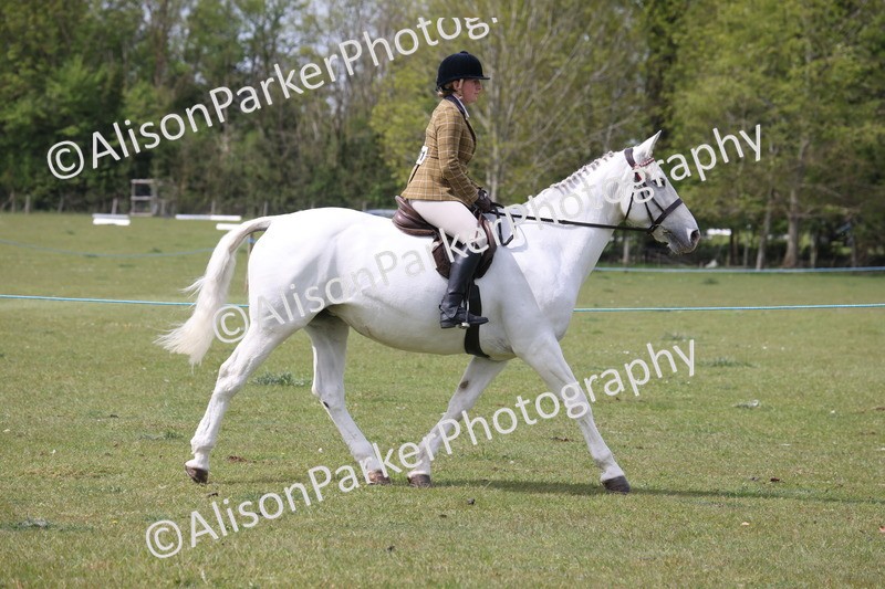 20260426-4321 - Class 34 - Best Riding Horse Over 14.2hh