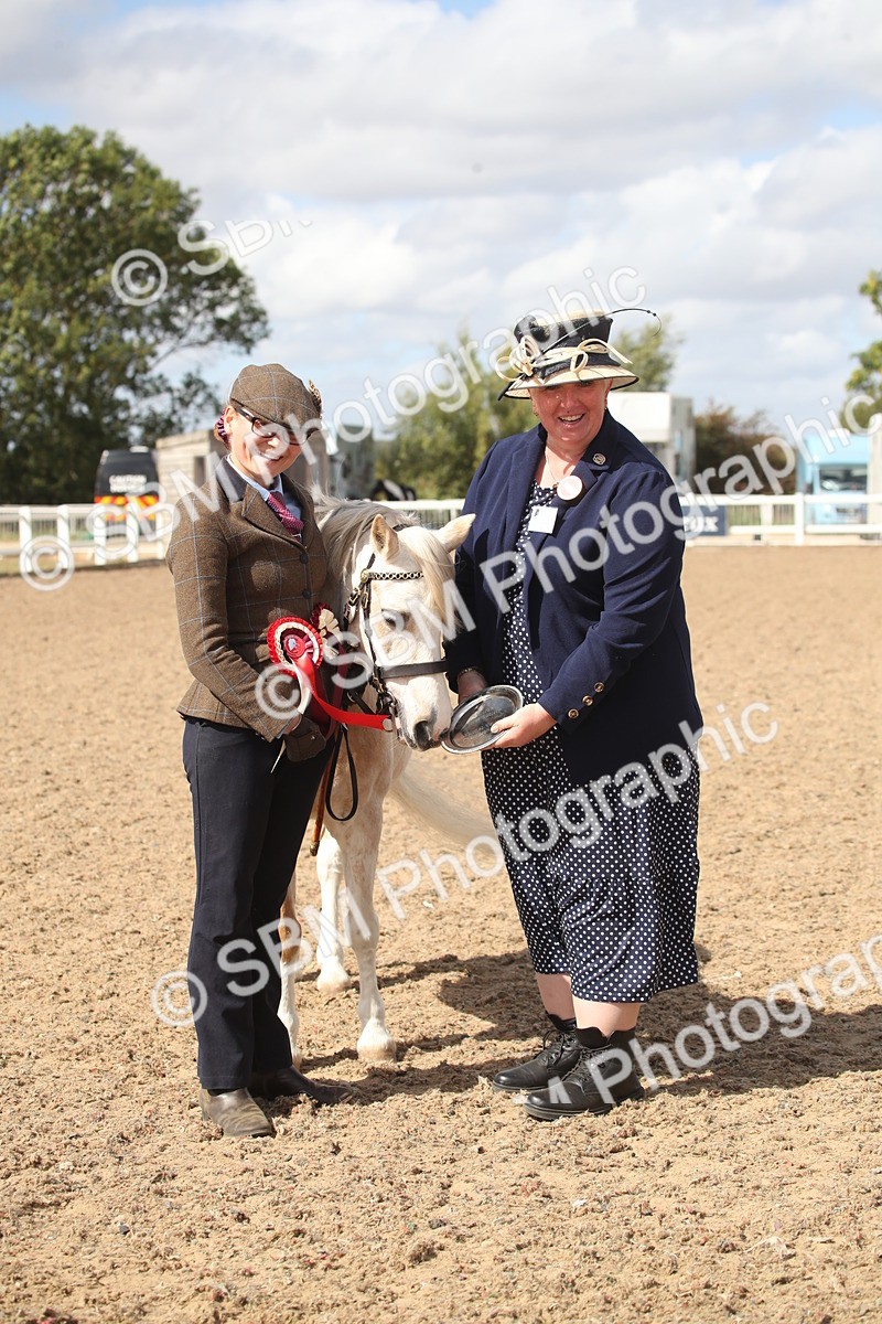 SBM_23476 - Class 604 - 2026 - Area IH Diamond