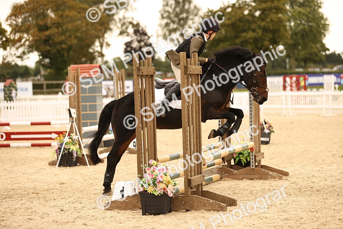 SBM_74202 - J14 - Junior Pony 65cm Championship