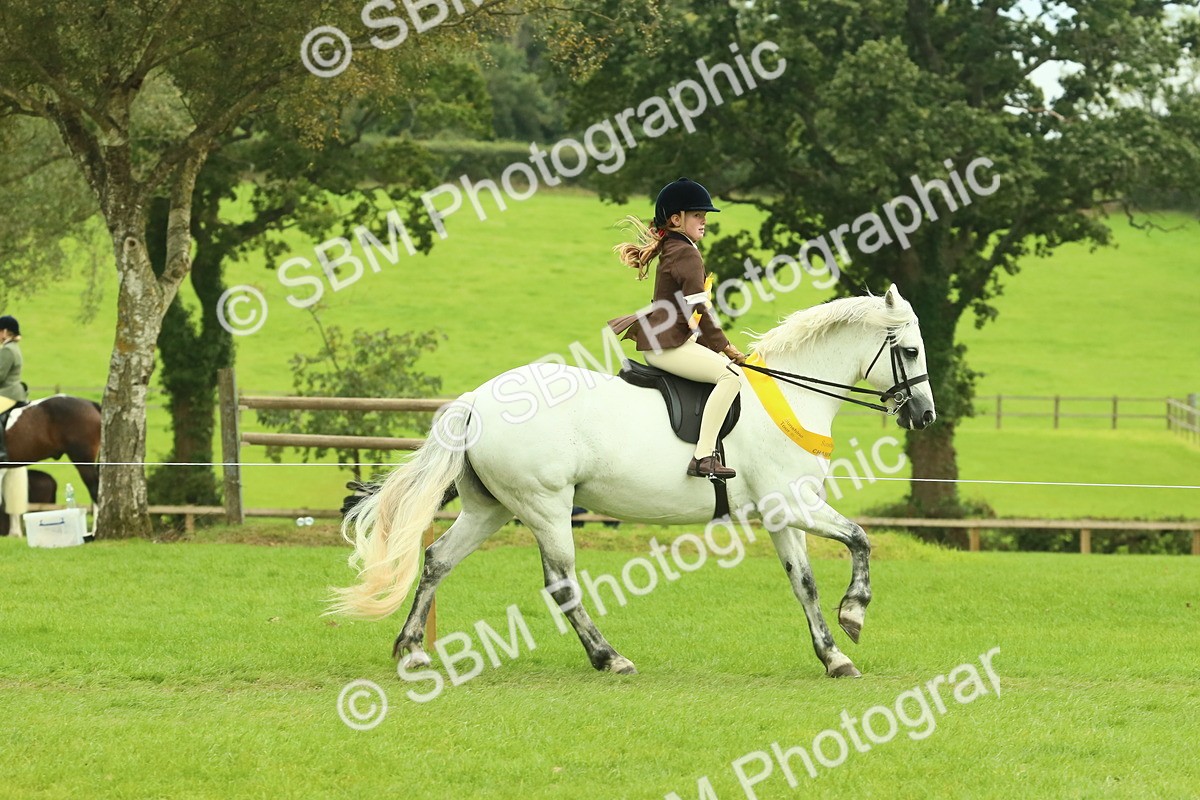 SBM_75036 - Ridden Pony Supreme Championship