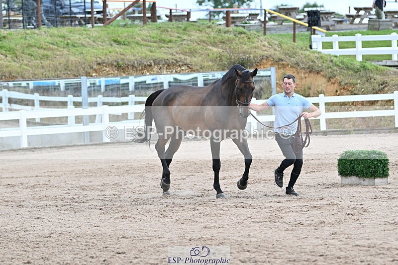 240717A-143241-02119 - Trot Up 2pm to 3pm - This folder is not in time order