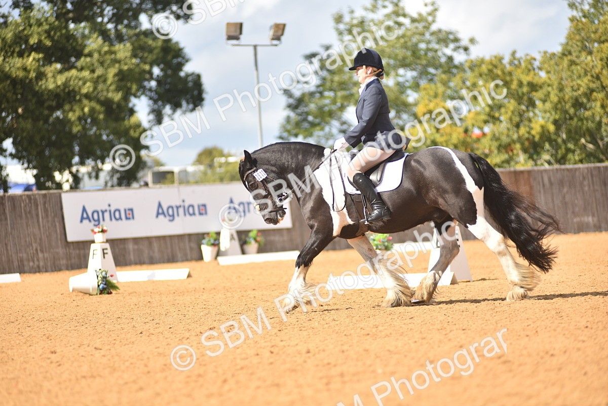 SBM_22493 - D13 - Grand Tour Championship Prelim 3