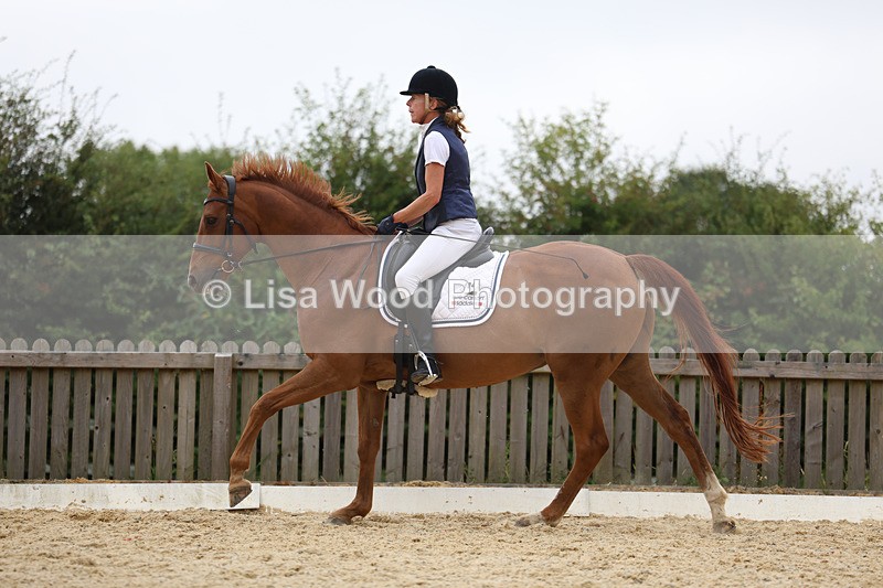 3E7A7453 - Class 9: Elementary 4 2024 - No sections