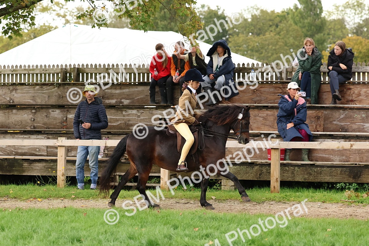 SBM_44998 - S27 - Young Veteran Ridden