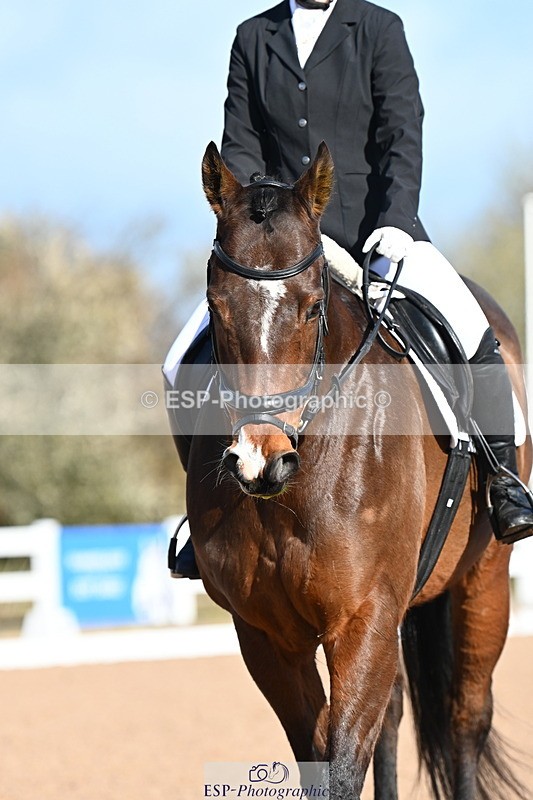 240323A-091741-00902 - MyQuest Intro A
