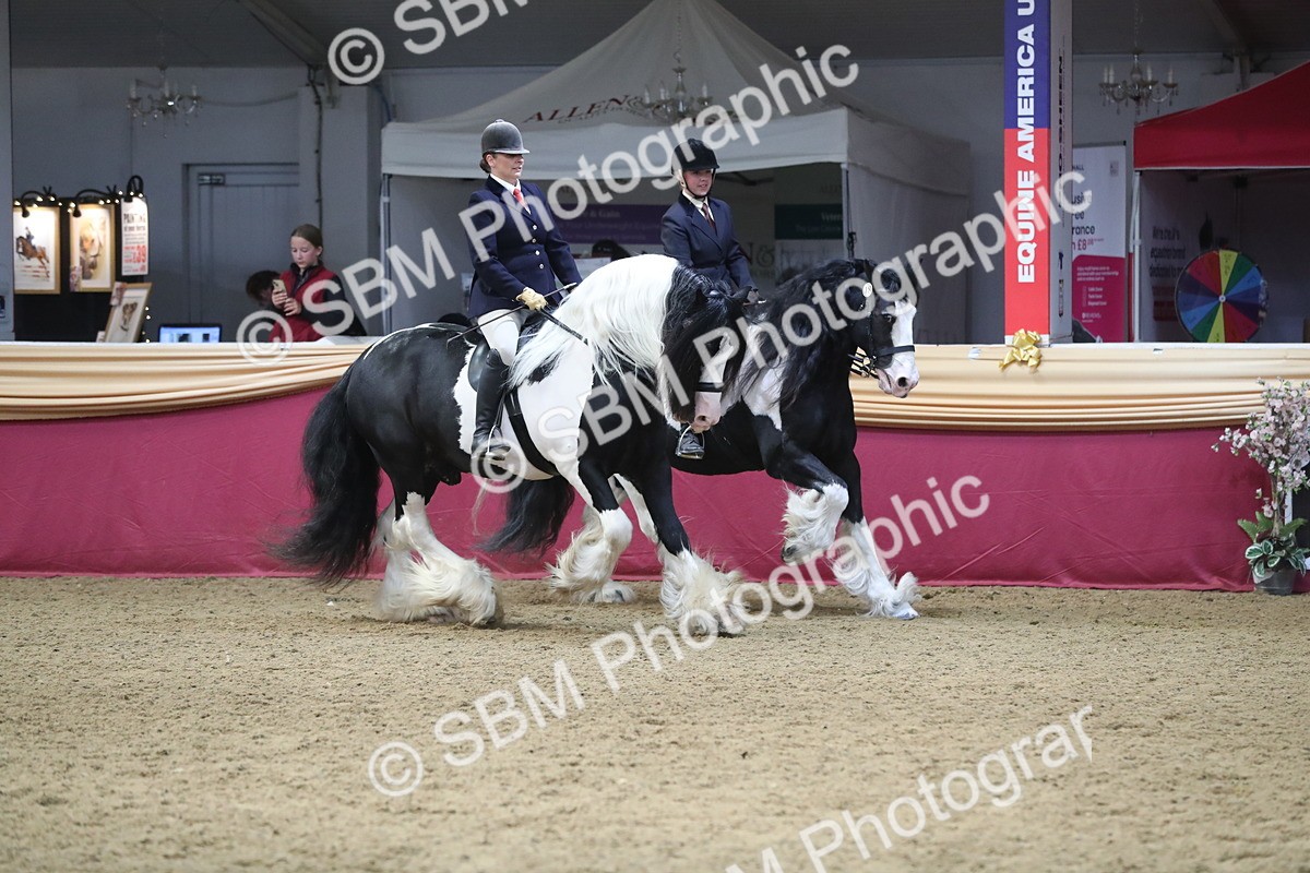 SBM_13669 - Class 109 Ridden Pairs - Section B