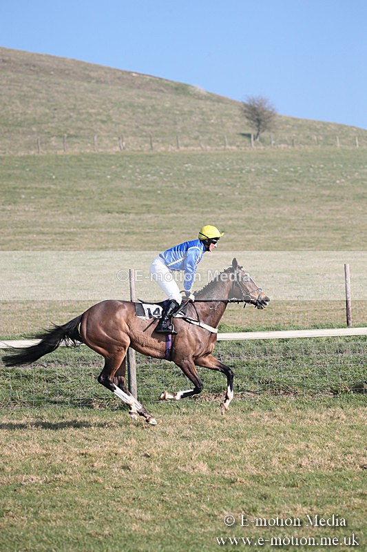 PtP 230219 271 - Vine & Craven Point-To-Point - Barbury 23/02/19