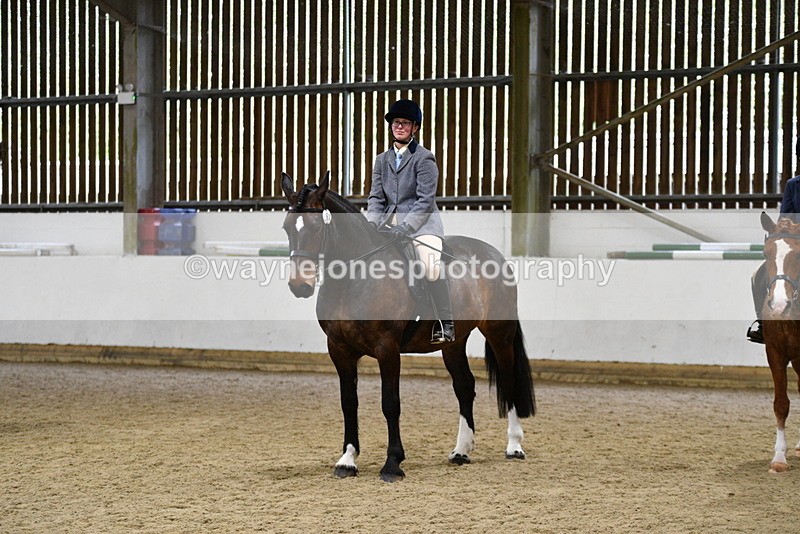WJ5_8061 - Class 13 Ridden Part Breed