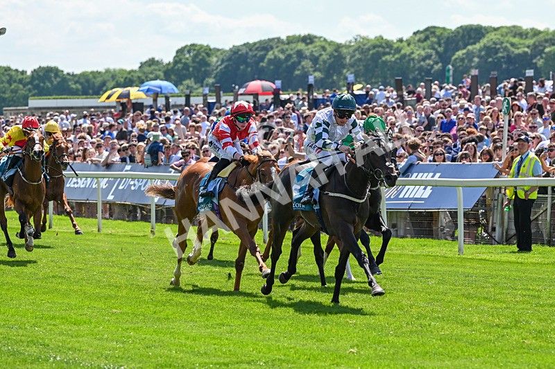 230526-Race 2-Possessive-6180 - Race 2 14.05pm Tomahawk EBF Restricted Novice Stakes