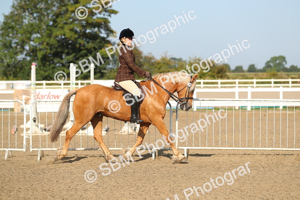SBM_01122 - Class 42 Ridden Veteran