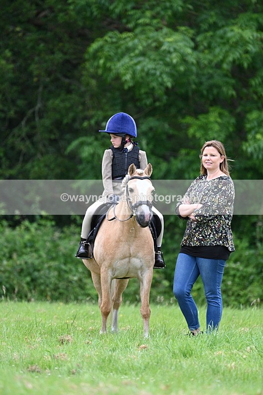 WJ7_3759 - Class 14A Handsome Gelding