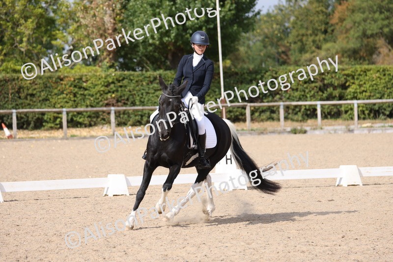 20250820-1363 - Class 19 - Medium 3