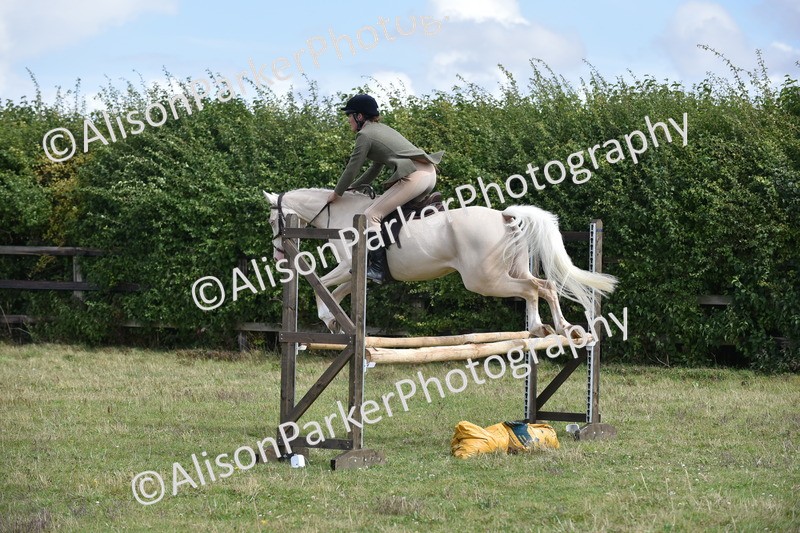 20250831-4077 - Class 13 - Working Hunter Horse or Pony