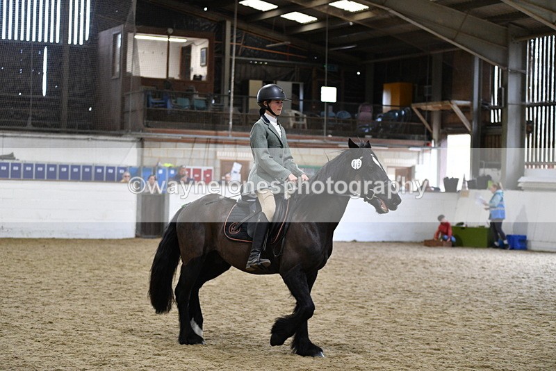 WJ5_7877 - Class 13 Ridden Part Breed