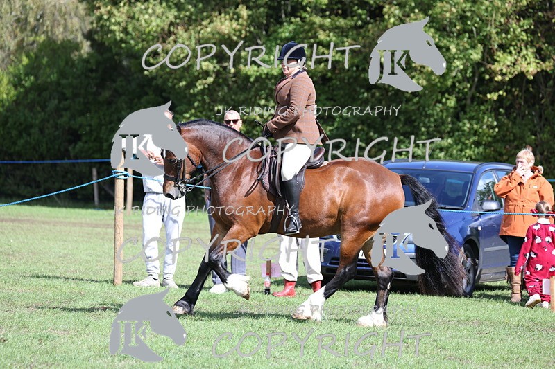 APP_3562 - Class 12 M&M ridden