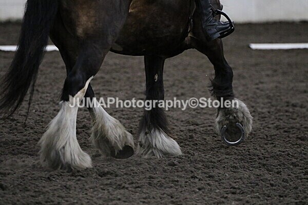 SIAL4342 - CAbin Dressage 5th july 2025