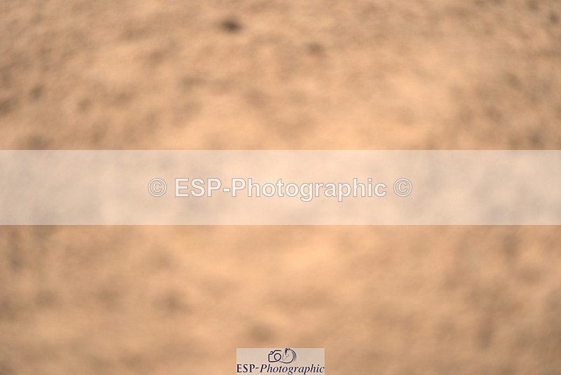 240418A-131554-02906 - Cls 37, Amateur 1.05m