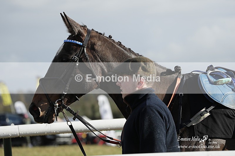 PtP 180323 1331 - Shelfield Park Races with Croome & West Warwickshire Hunt  18/03/23