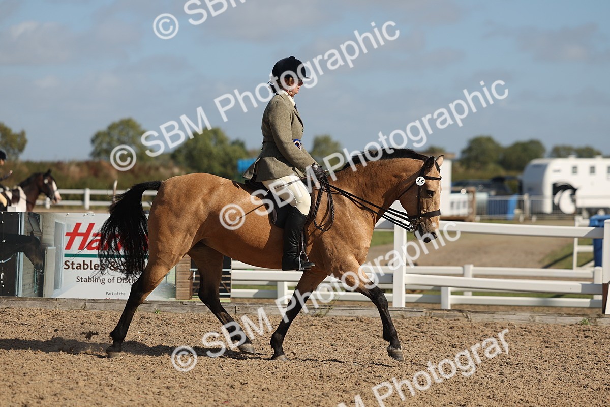 SBM_22651 - Class 804 - Ridden Veteran Pony