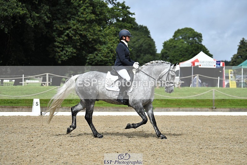 230812-103902-03421 - Cls 6 Novice Silver 10.30 to 11.55 break