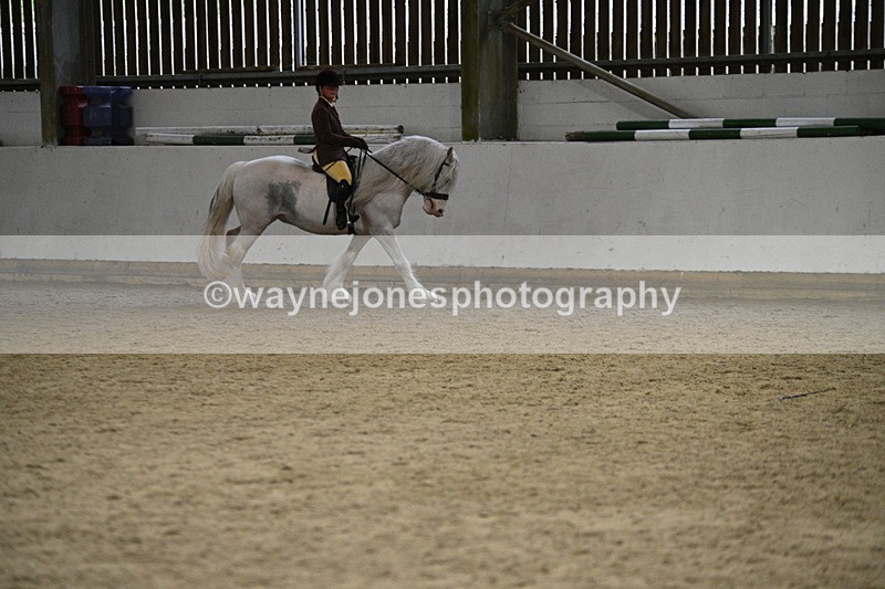 WJ7_3756 - Class 16 Ridden Coloured/ Odd Coloured