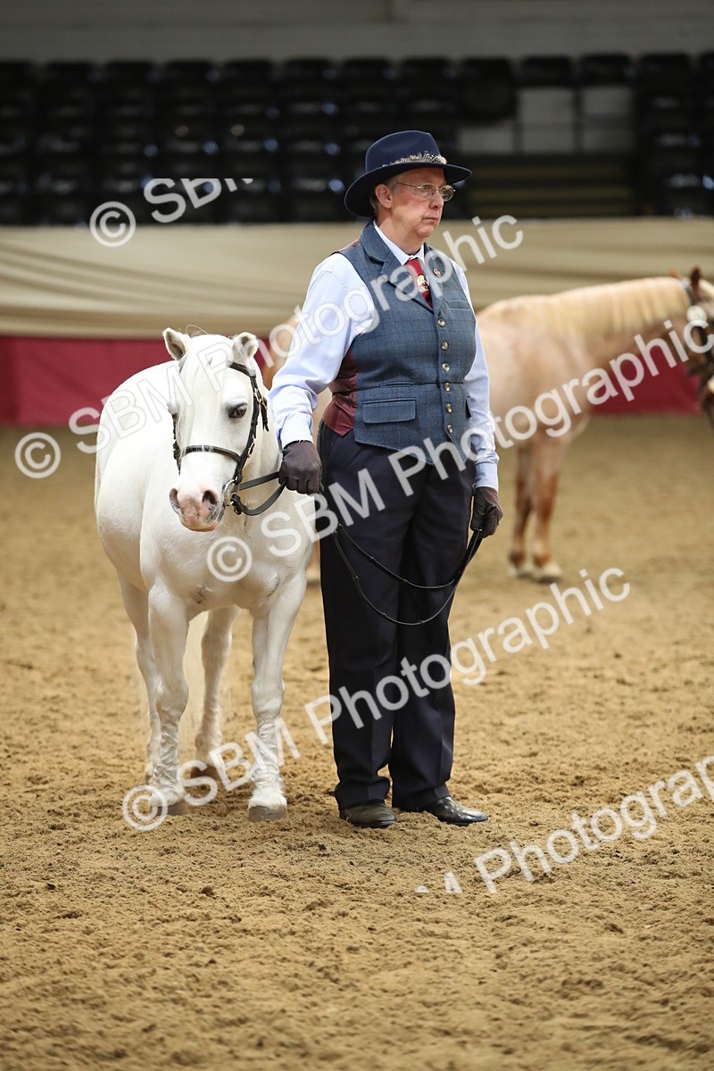 SBM_05364 - Class 8R - Regional IH Veteran