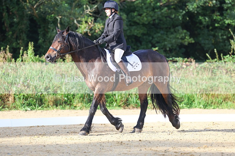 3E7A1868 - Class 1: Intro 4 2024 section A