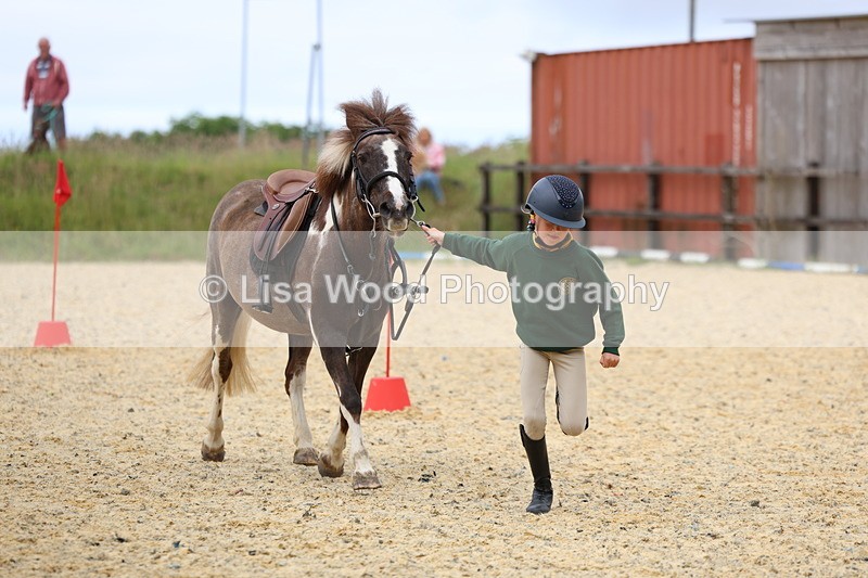 3E7A9585 - Walk trot run