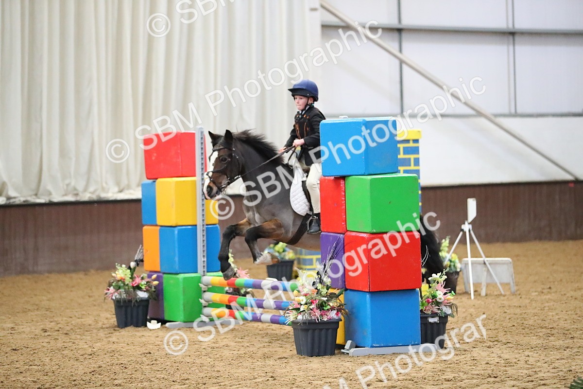 SBM_000148 - Class 1 - Show Jumping 50cm