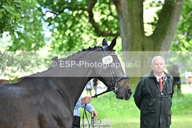 250521A-153222-00581 - B-316-Jasmine.Holmes-ARENT.I.LUCKY