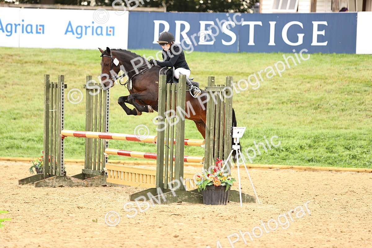 SBM_58285 - J41 - Grand Tour Horse & Pony 95cm