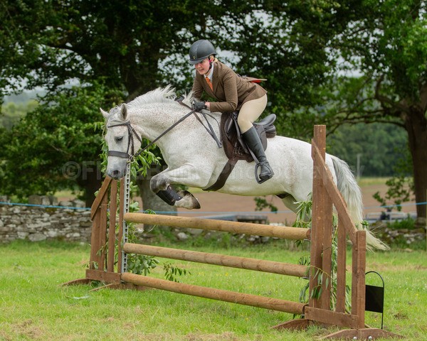 Dunblane show-581 - Dunblane and Doune Show Ring 1