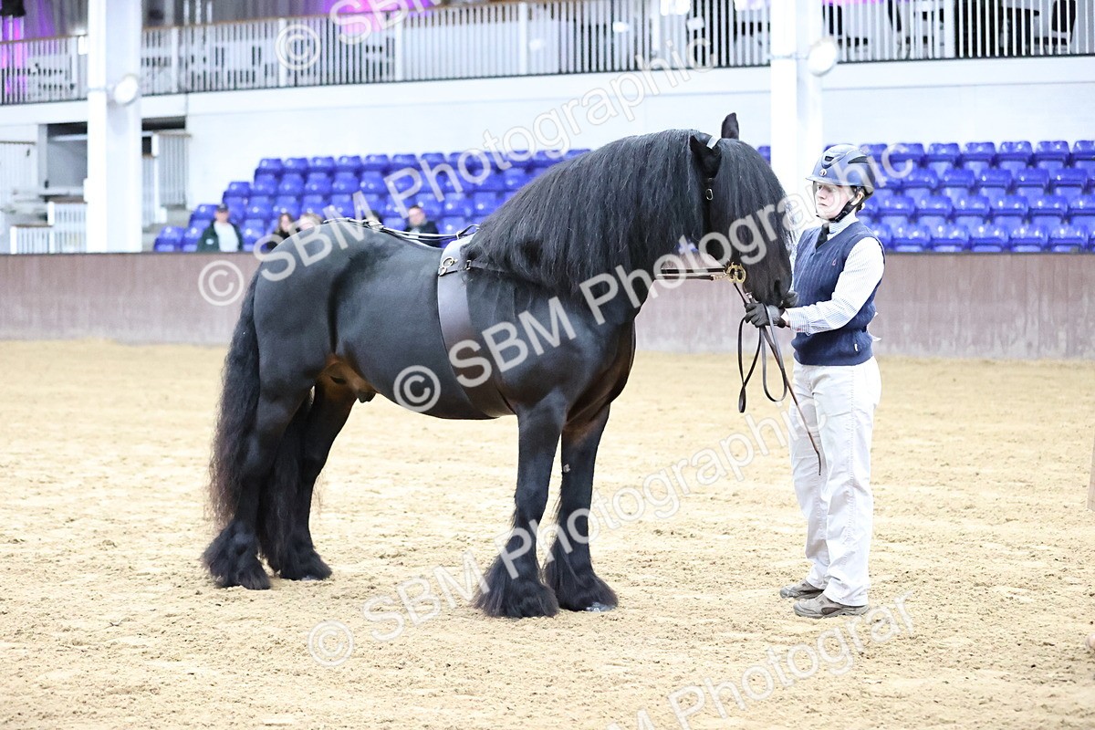 SBM_5297 - Class 32 - In Hand Cob Type