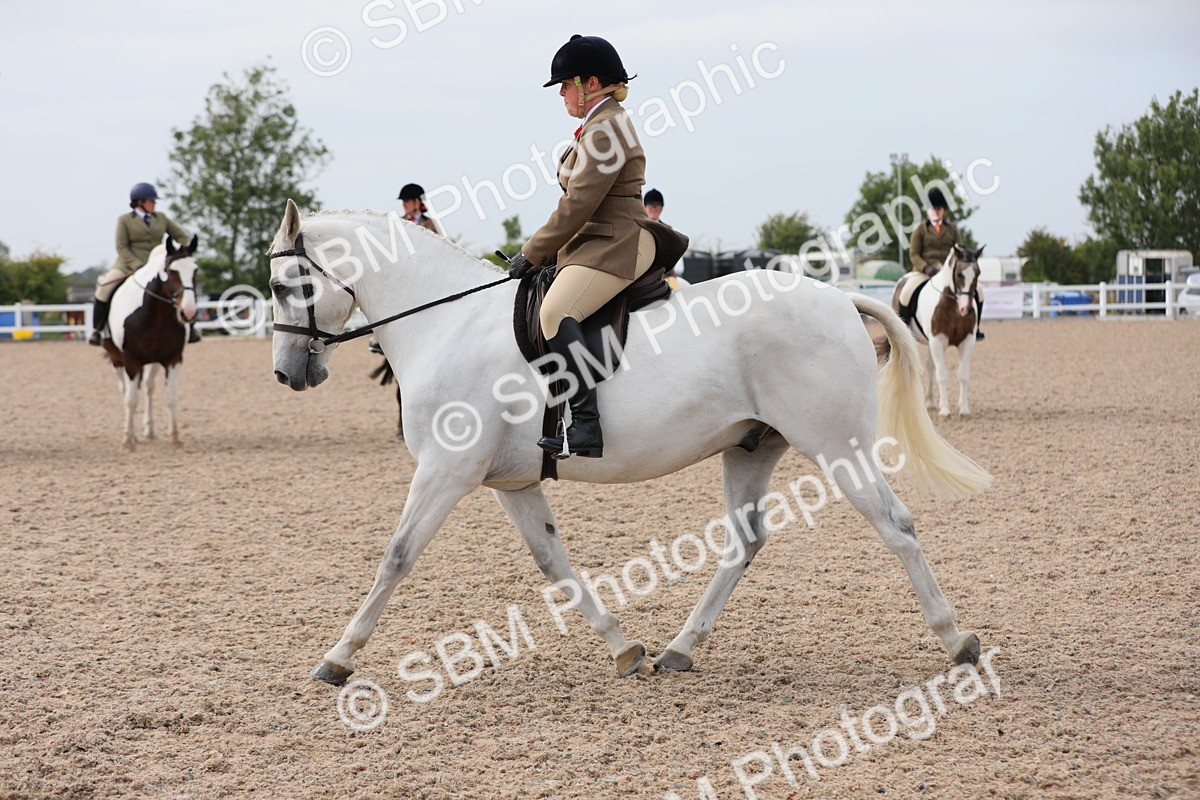 SBM_16993 - Class 314 Family Horse/Pony