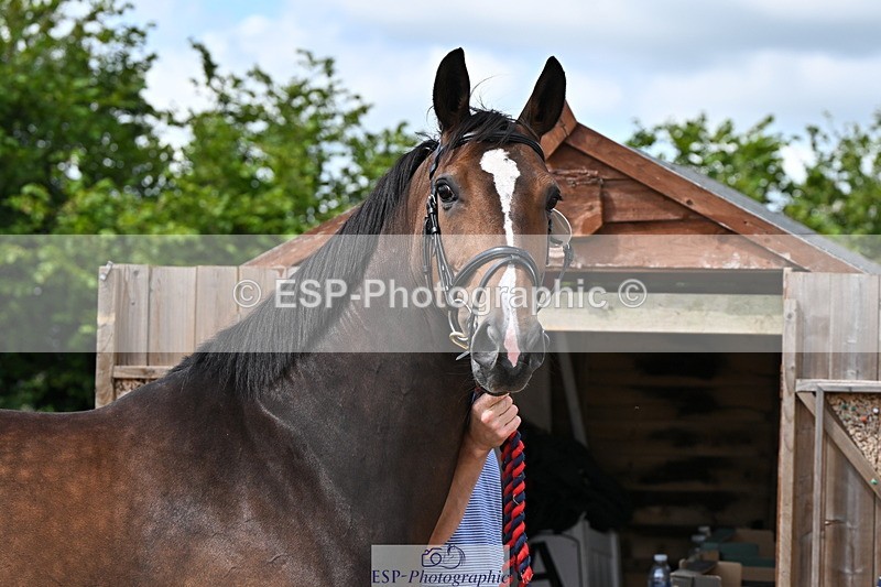 240718A-105246-01126 - Trot Up 12pm to 1pm